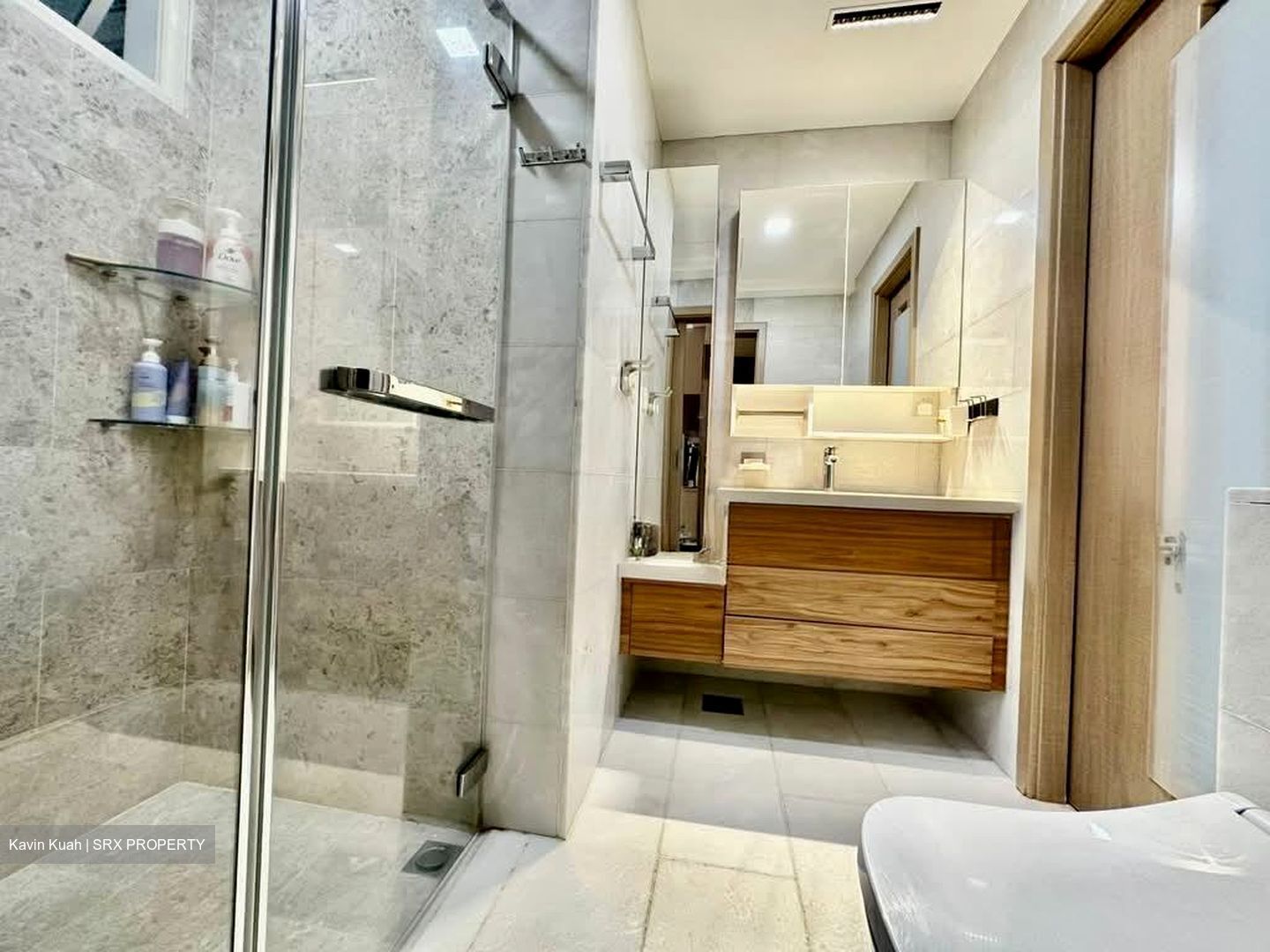 Parc Palais (D21), Condominium #554142811